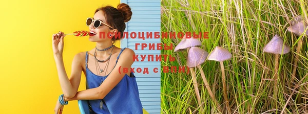 спайс Магадан
