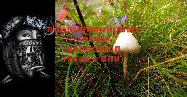 тгк Магас